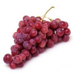 Nutrient Laden Healthy Cell